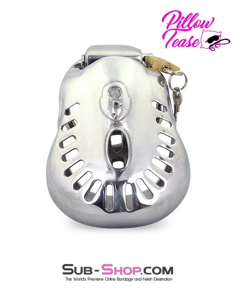 2234AR      Big Steel Dungeon Full Balls and All Locking Male Chastity Cage