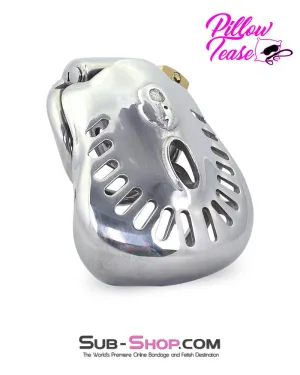 2234AR      Big Steel Dungeon Full Balls and All Locking Male Chastity Cage