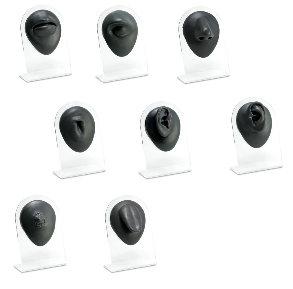 Silicone Tongue Display